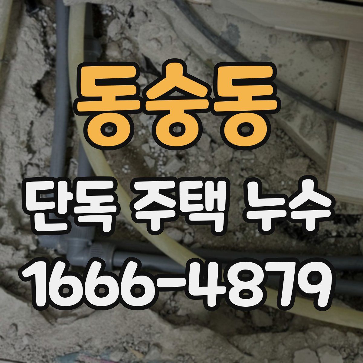 동숭동 단독 주택 누수