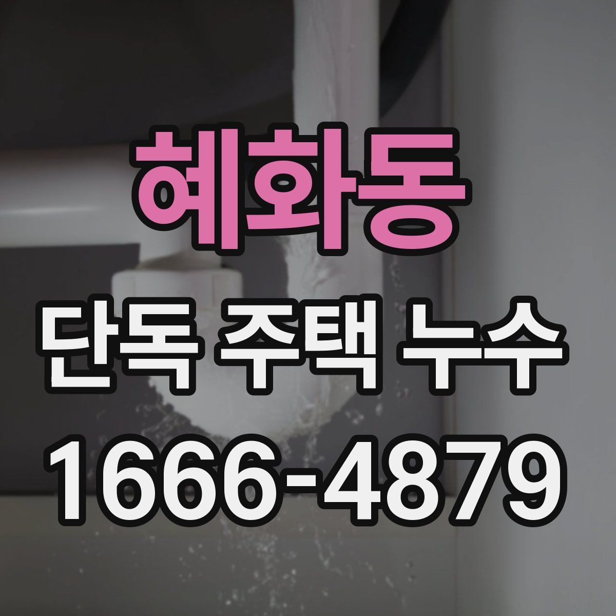 혜화동 단독 주택 누수