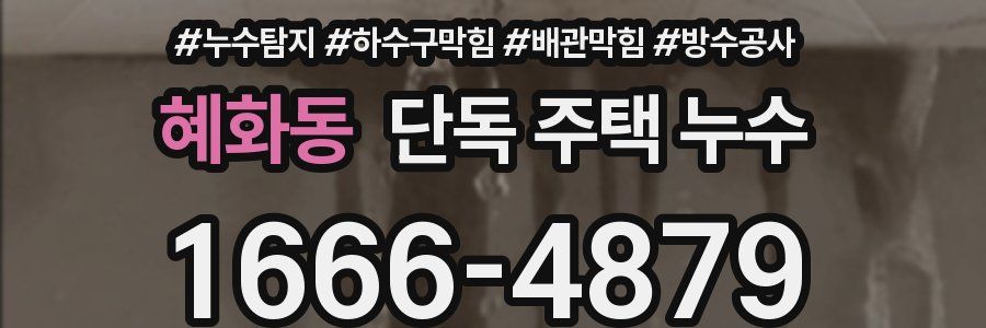 혜화동 단독 주택 누수