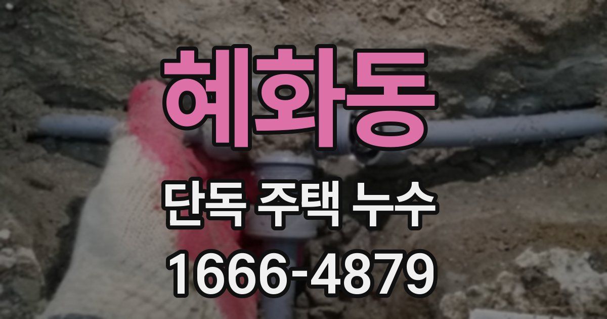 혜화동 단독 주택 누수