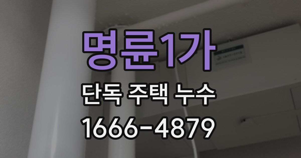 명륜1가 단독 주택 누수