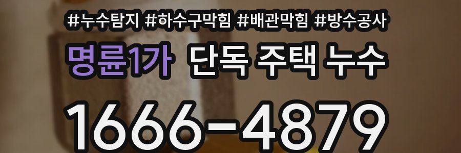 명륜1가 단독 주택 누수
