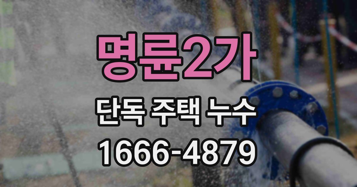 명륜2가 단독 주택 누수
