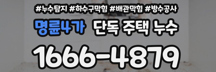 명륜4가 단독 주택 누수