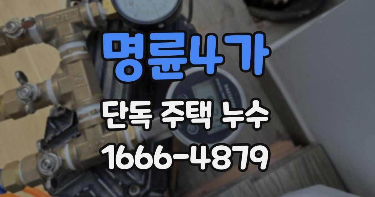 명륜4가 단독 주택 누수