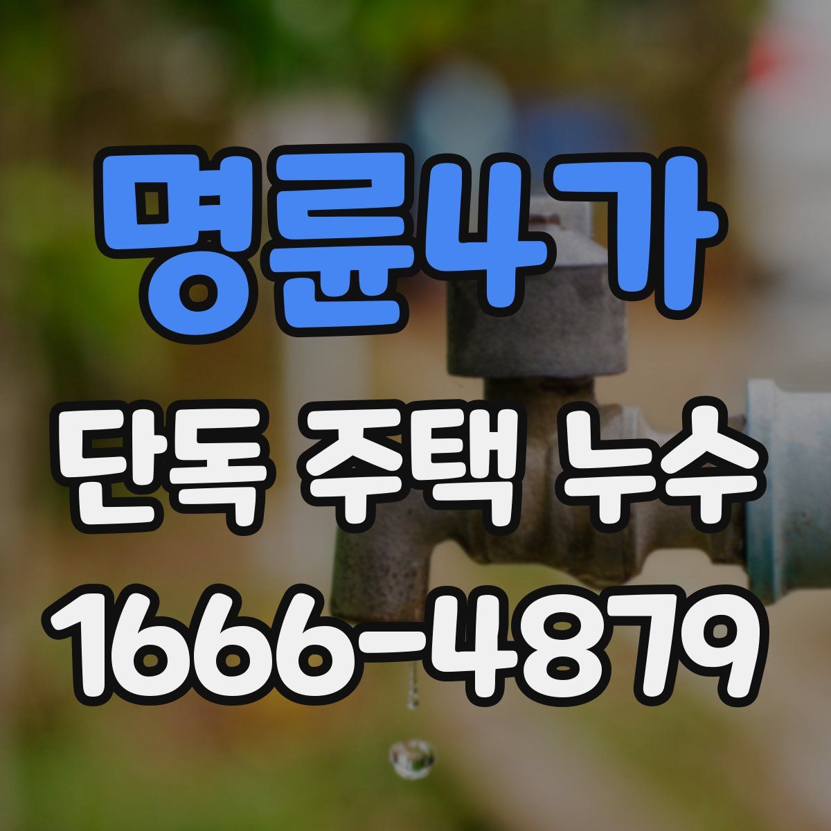 명륜4가 단독 주택 누수