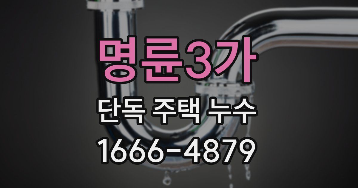 명륜3가 단독 주택 누수