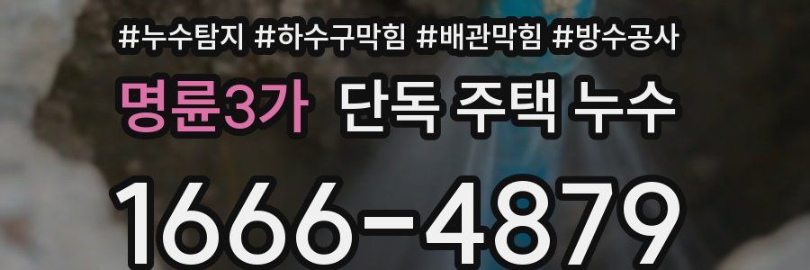 명륜3가 단독 주택 누수
