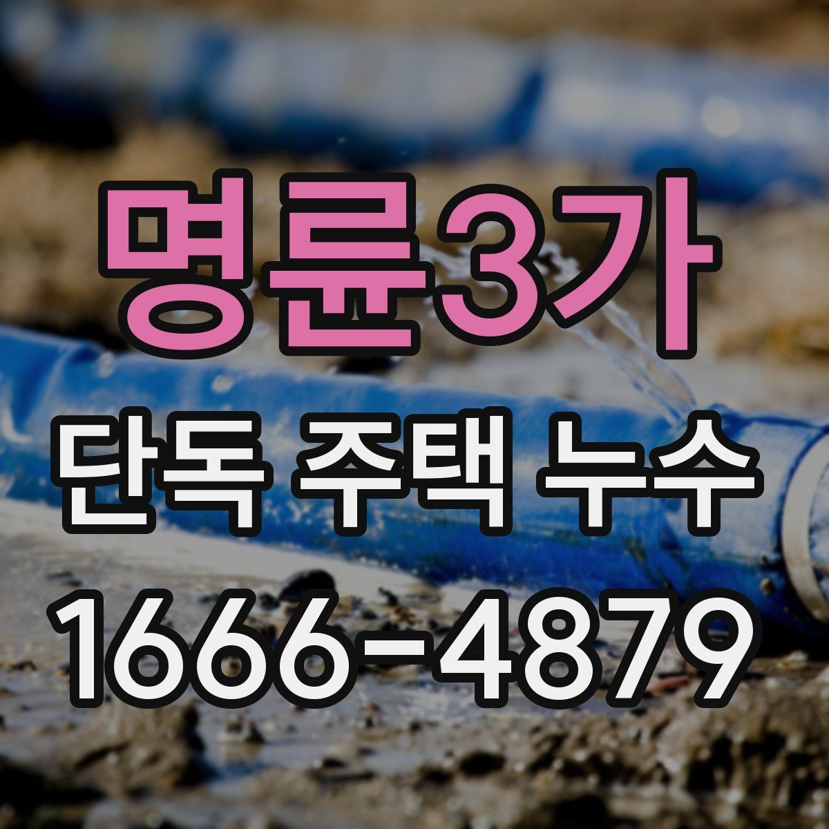 명륜3가 단독 주택 누수
