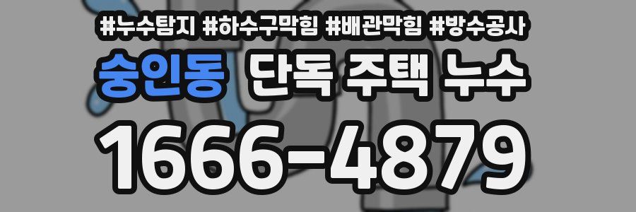 숭인동 단독 주택 누수