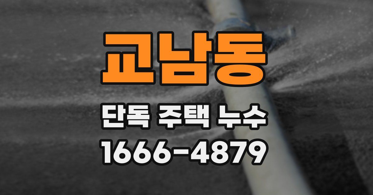 교남동 단독 주택 누수