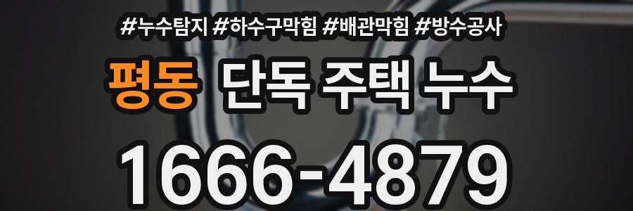 평동 단독 주택 누수