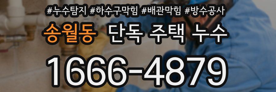 송월동 단독 주택 누수