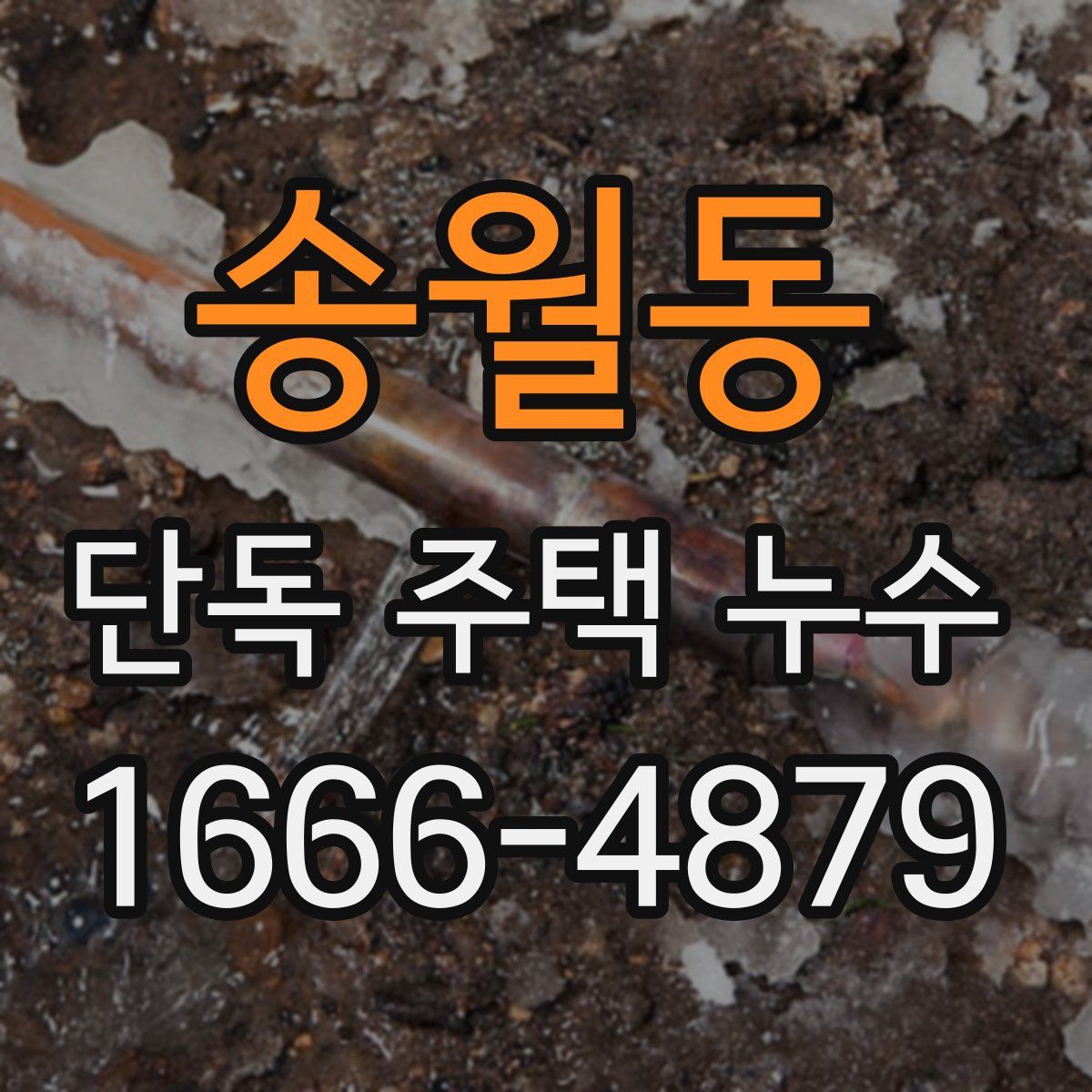송월동 단독 주택 누수