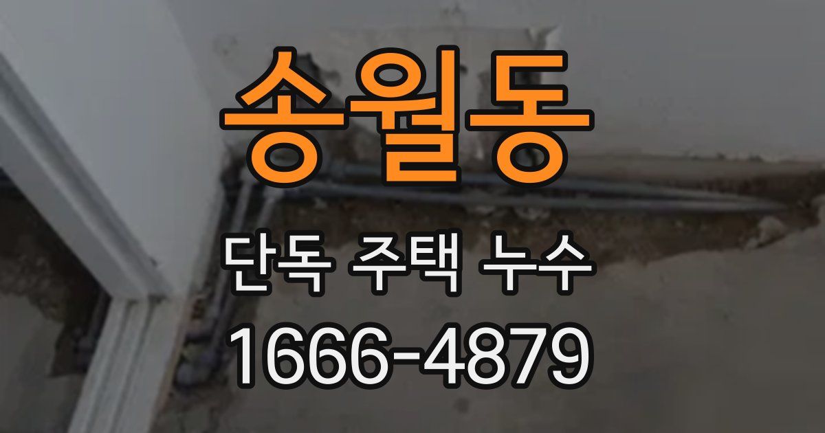 송월동 단독 주택 누수