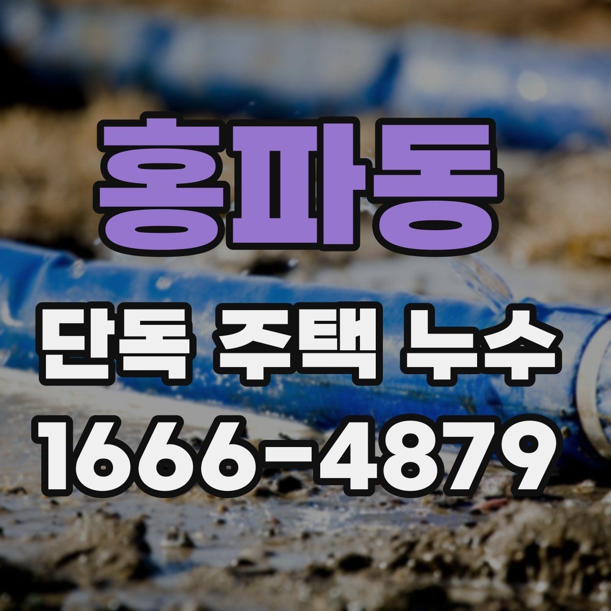 홍파동 단독 주택 누수 점검으로 알 수 있는 구조 문제