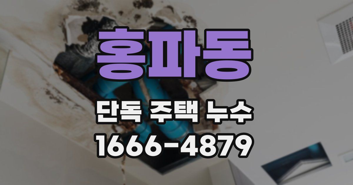 홍파동 단독 주택 누수