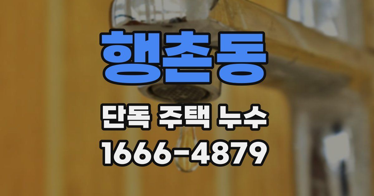 행촌동 단독 주택 누수