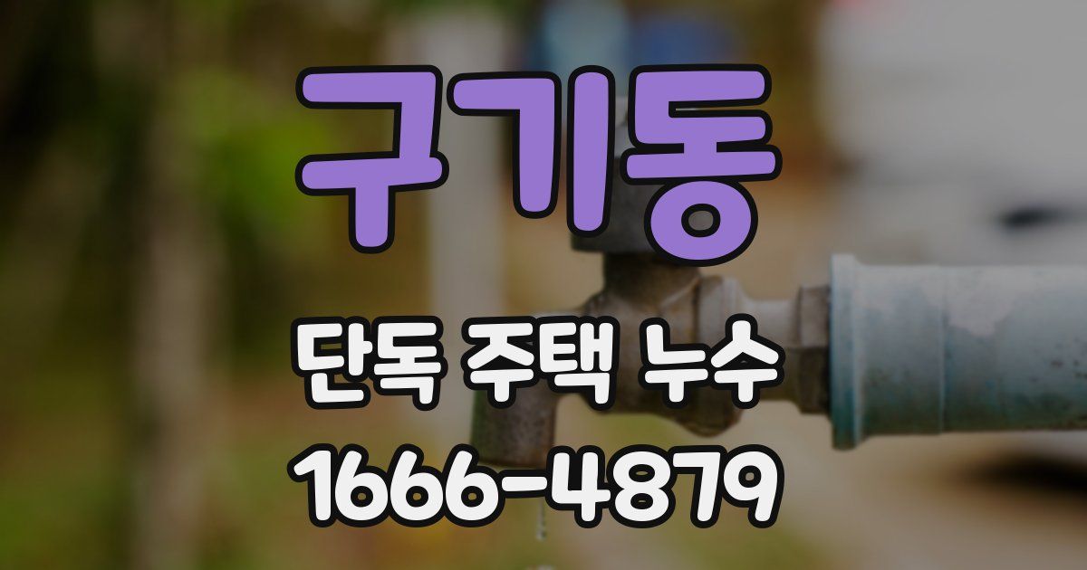 구기동 단독 주택 누수