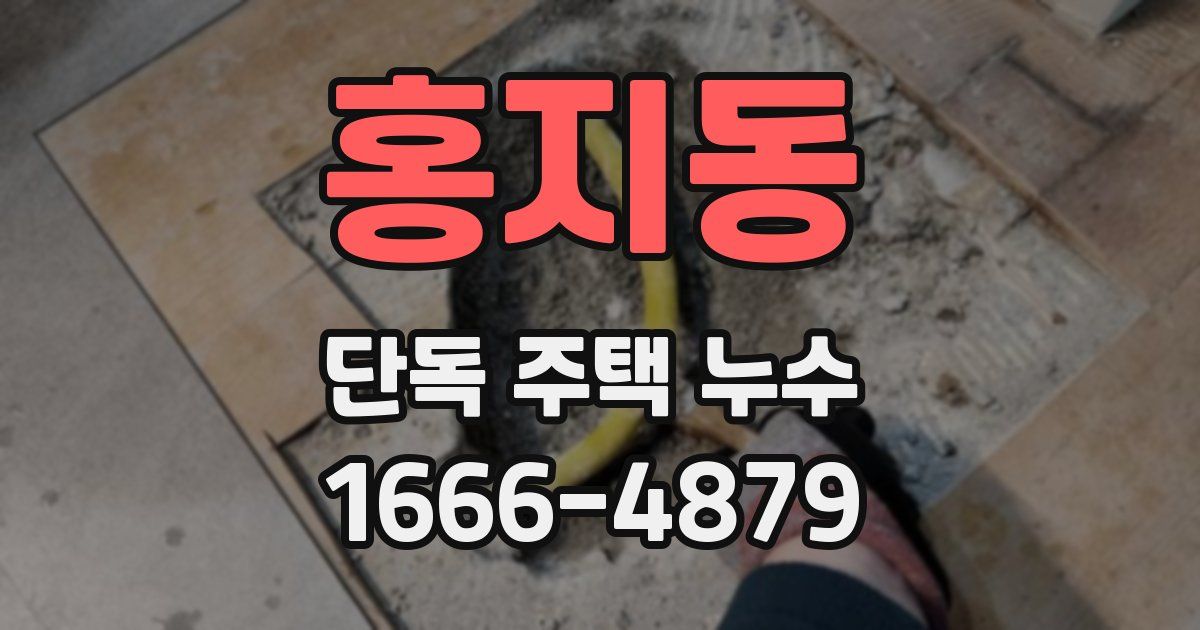 홍지동 단독 주택 누수