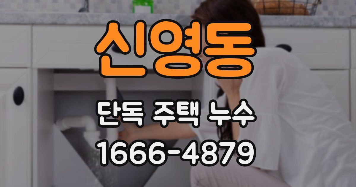 신영동 단독 주택 누수