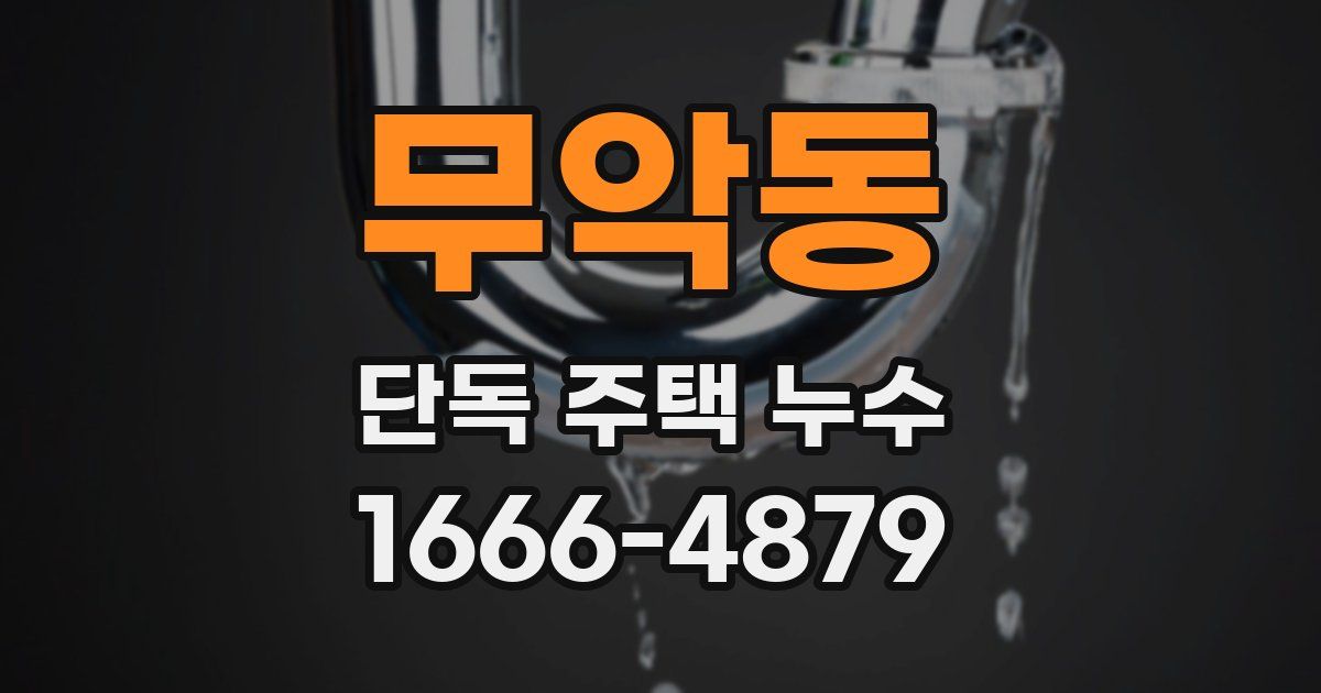 무악동 단독 주택 누수