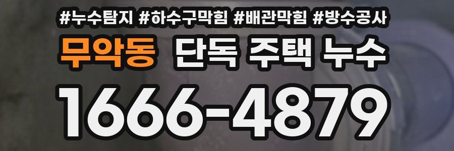 무악동 단독 주택 누수