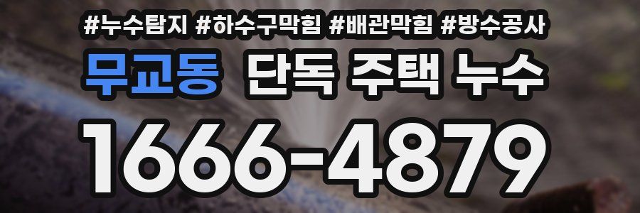 무교동 단독 주택 누수