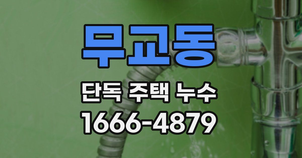 무교동 단독 주택 누수