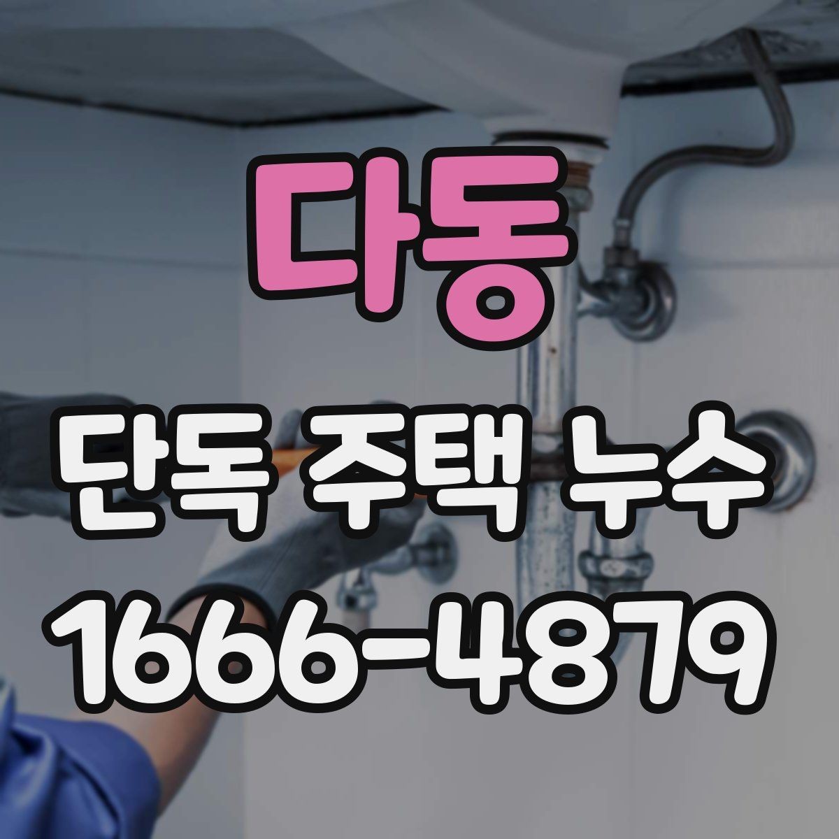 다동 단독 주택 누수 세입자와 집주인이 나눠볼 책임 범위