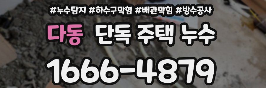 다동 단독 주택 누수