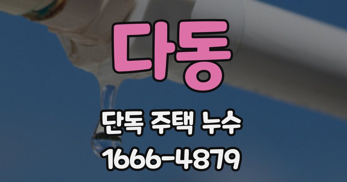 다동 단독 주택 누수