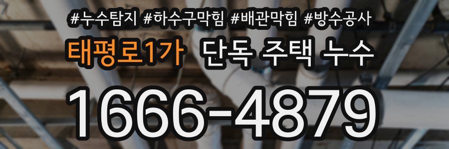 태평로1가 단독 주택 누수