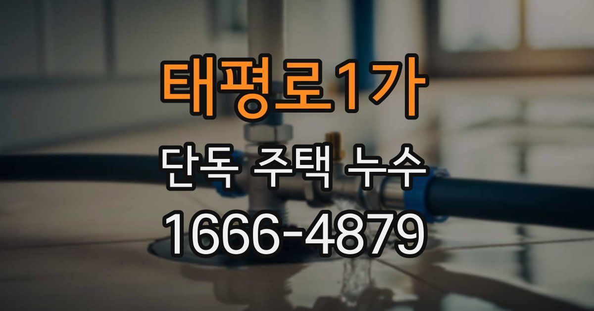 태평로1가 단독 주택 누수