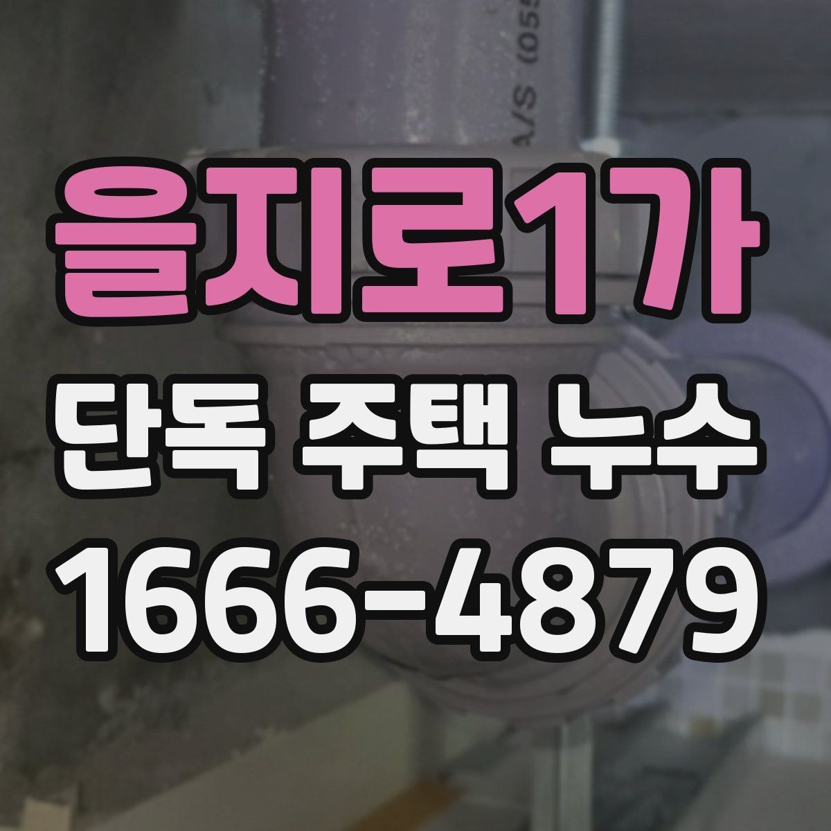 을지로1가 단독 주택 누수 전문 진단이 필요한 상황