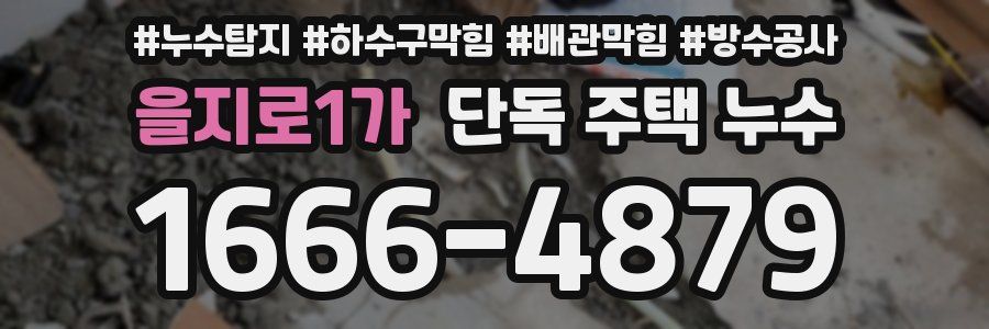 을지로1가 단독 주택 누수