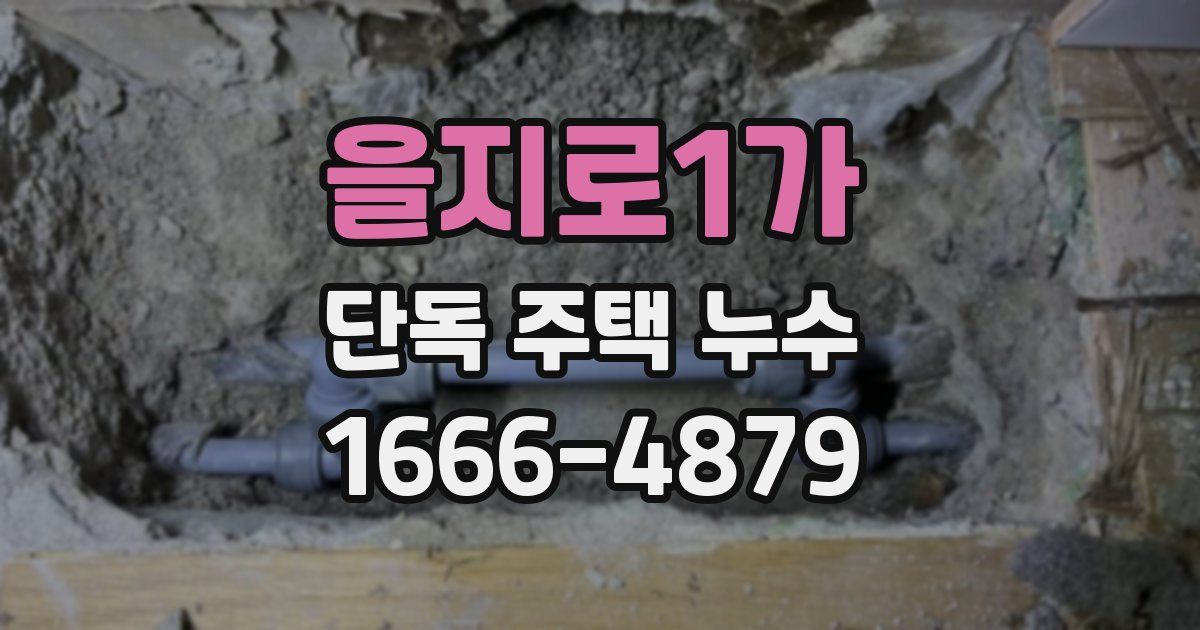 을지로1가 단독 주택 누수