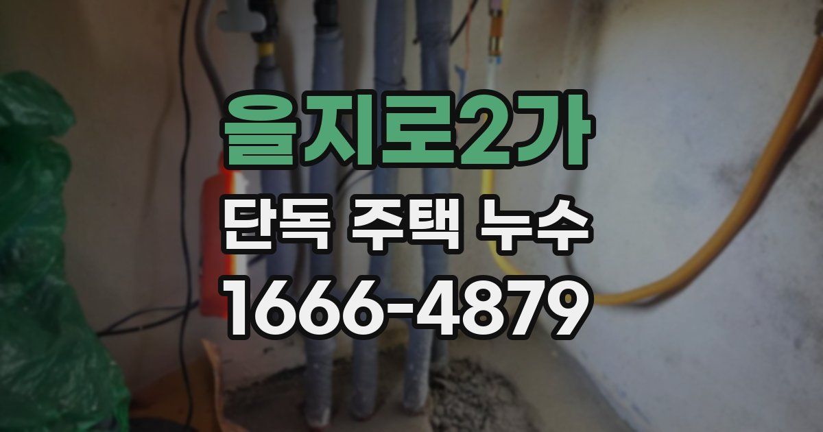 을지로2가 단독 주택 누수