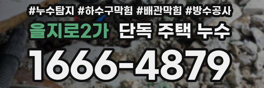 을지로2가 단독 주택 누수