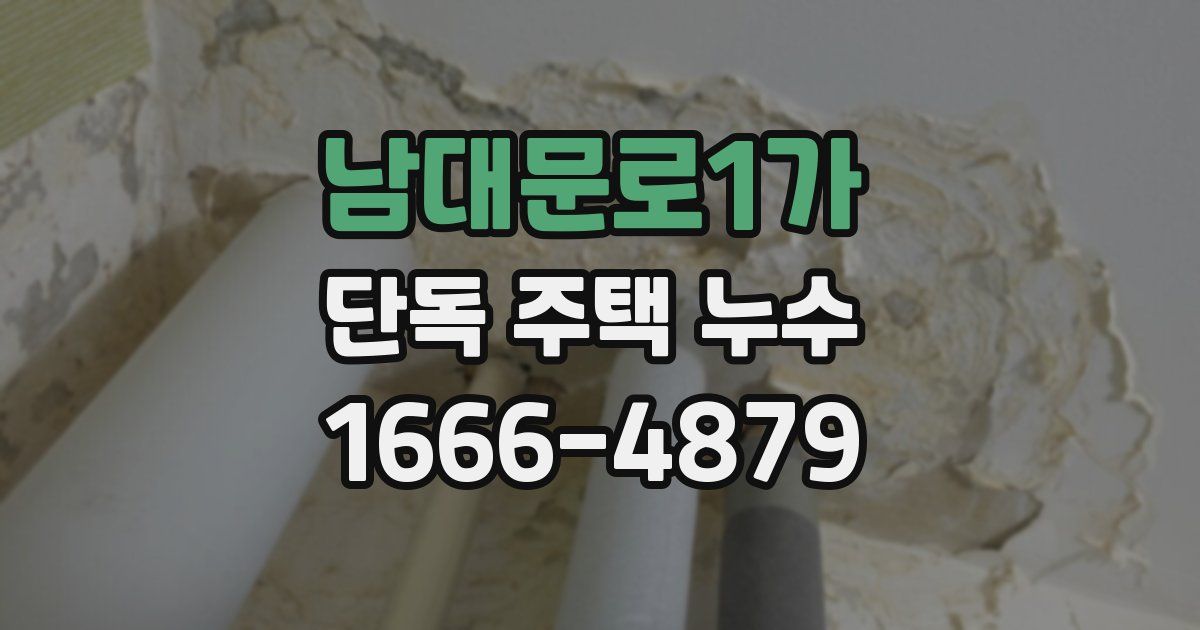 남대문로1가 단독 주택 누수