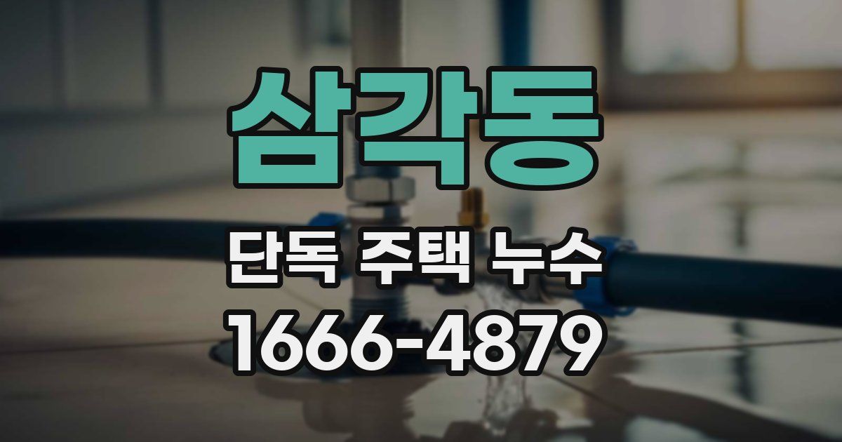 삼각동 단독 주택 누수