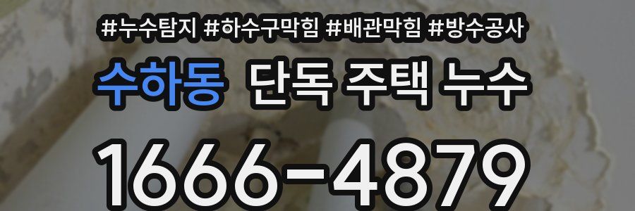 수하동 단독 주택 누수