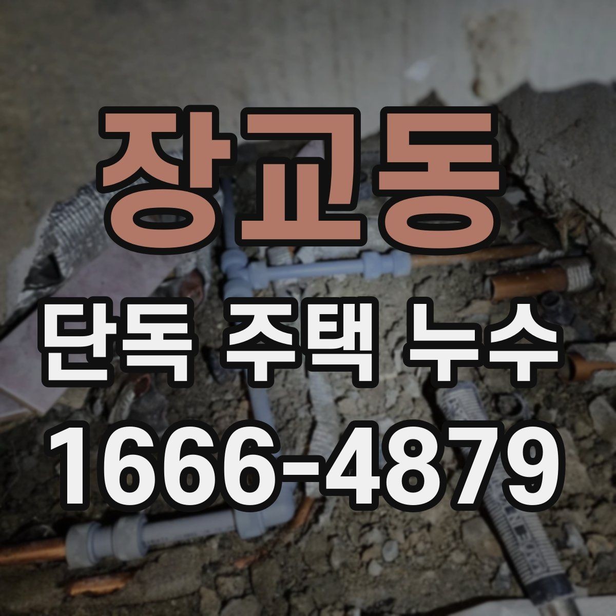 장교동 단독 주택 누수 확인 후 다음 단계 안내