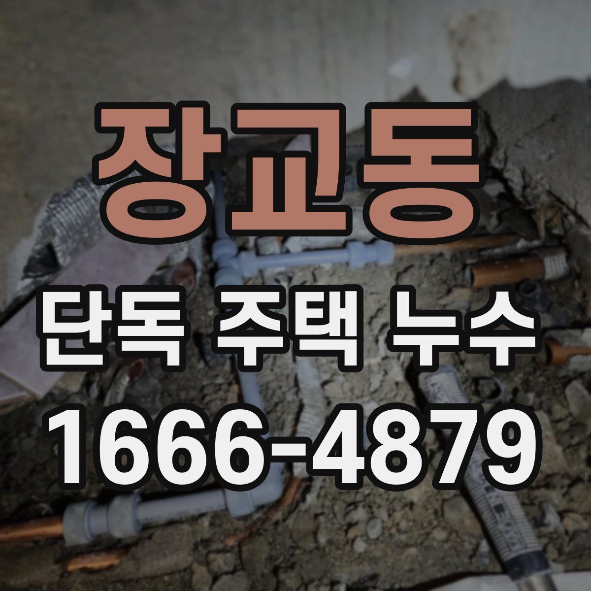 장교동 단독 주택 누수