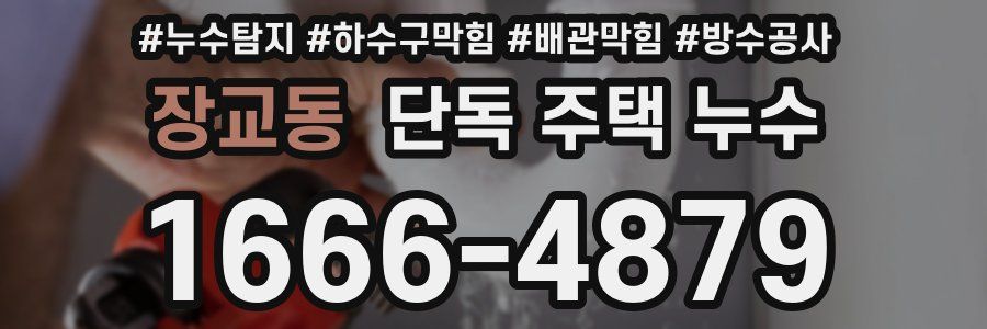 장교동 단독 주택 누수