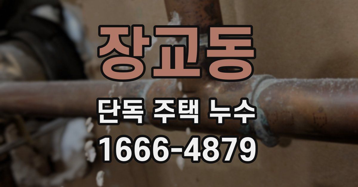 장교동 단독 주택 누수
