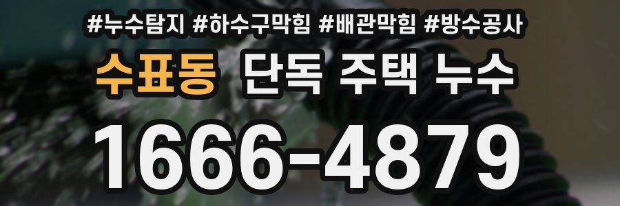 수표동 단독 주택 누수