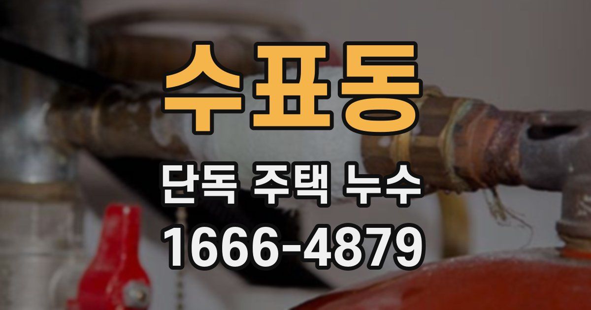 수표동 단독 주택 누수
