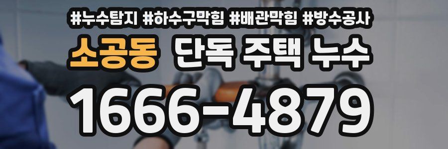 소공동 단독 주택 누수