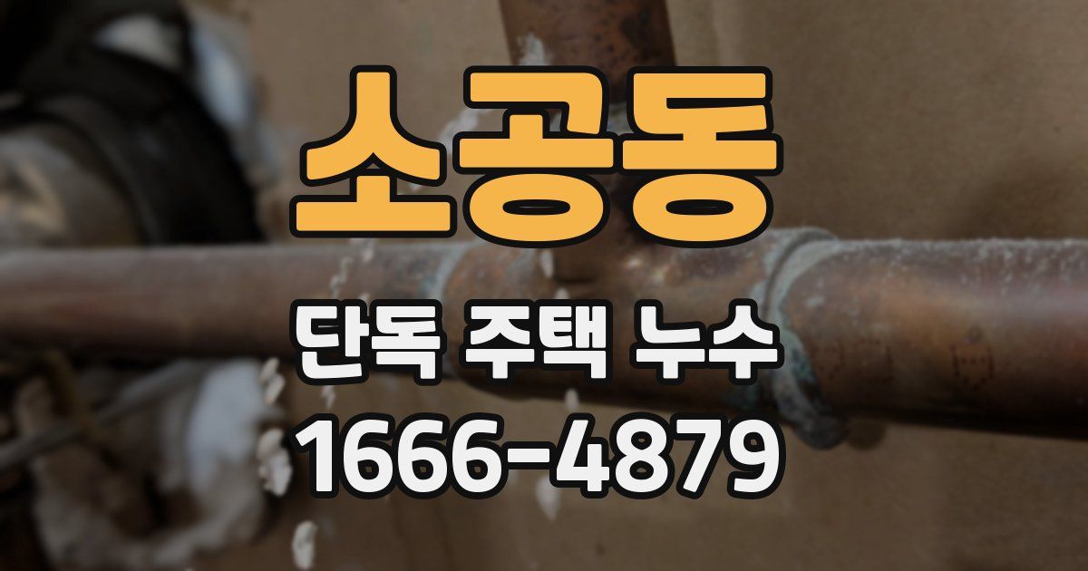 소공동 단독 주택 누수